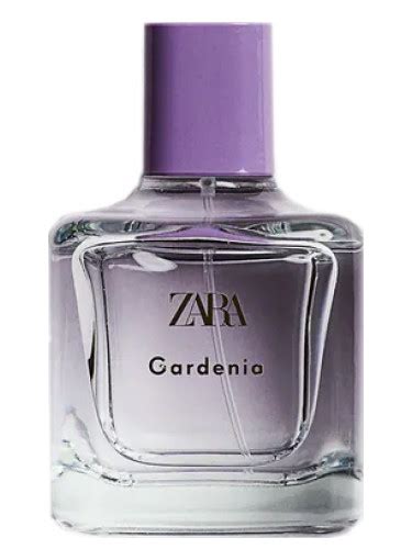 gardenia zara|Gardenia Eau de Parfum Zara pour femme